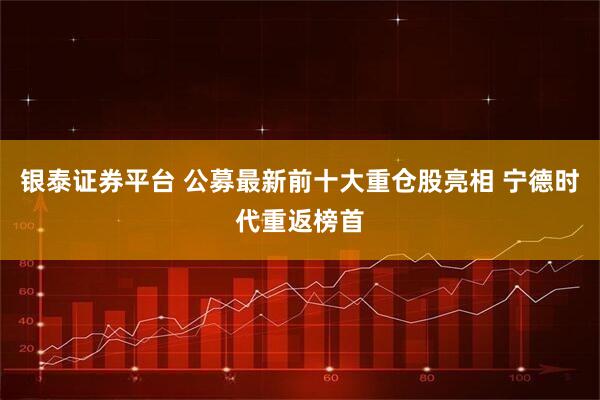 银泰证券平台 公募最新前十大重仓股亮相 宁德时代重返榜首